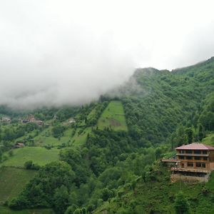 Kinya Bungalov Hotel